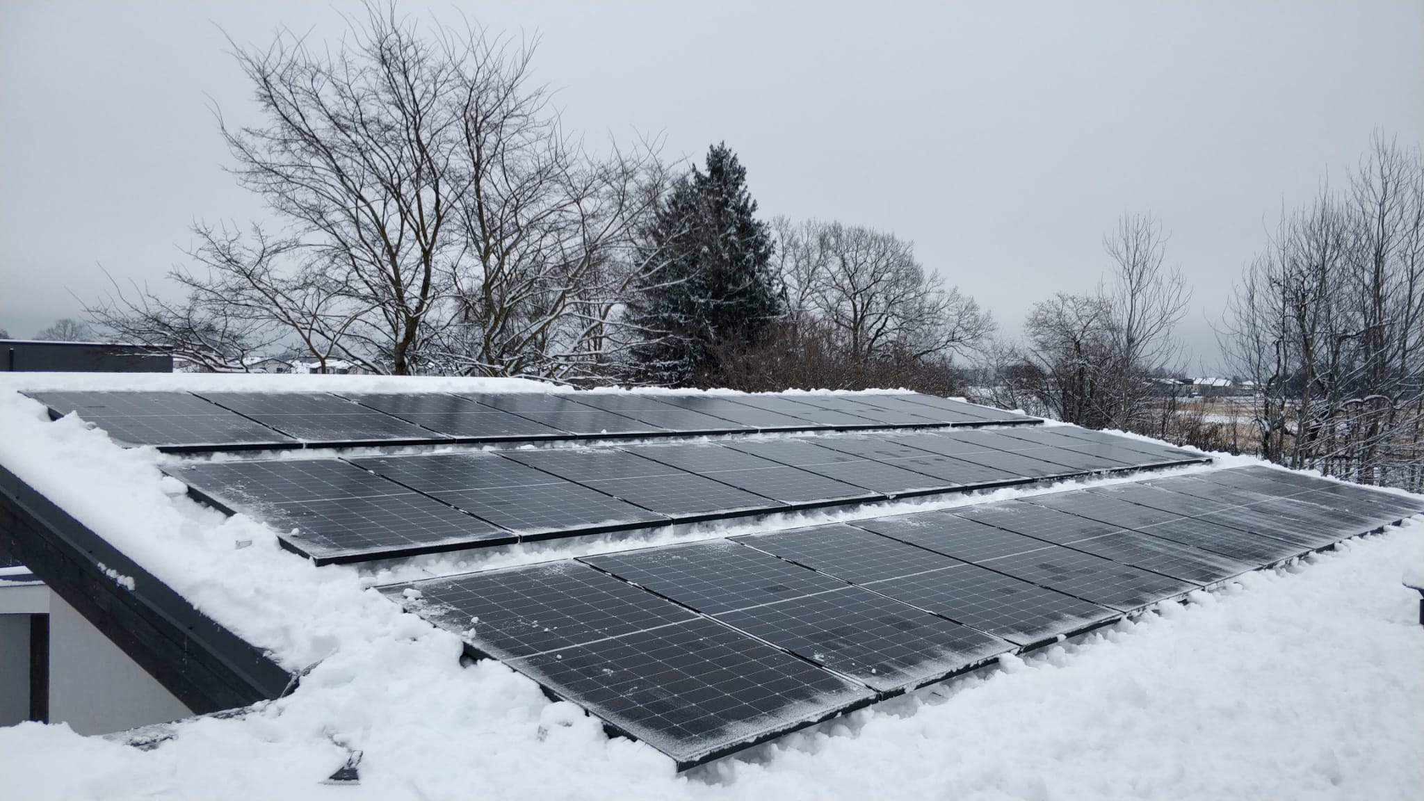 EnergyGarden projekts 7